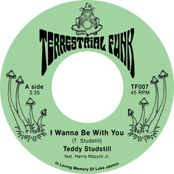 Vinyl I Wanna Be With You / There Comes A Time Book