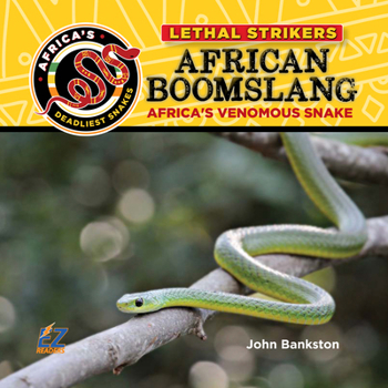 Africa's Deadliest Snake: The Venomous Boomslang