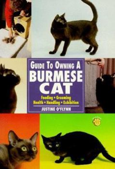 Paperback Guide to Owning a Burmese Cat Book