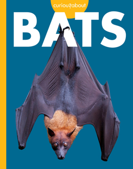 Curious about Bats (Curious about Pollinators)