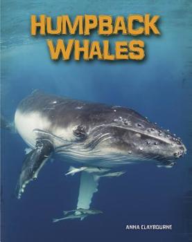 Hardcover Humpback Whales Book