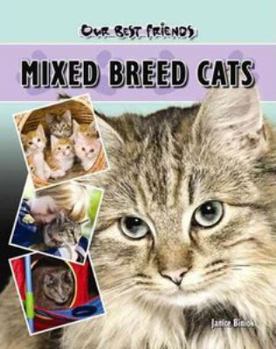Hardcover Mixed Breed Cats Book