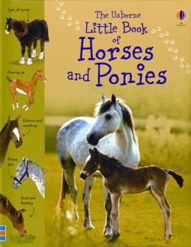Hardcover The Usborne Little Book of Horses and Ponies Book