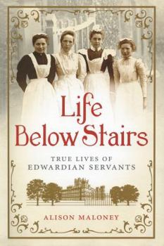 Hardcover Life Below Stairs Book