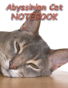 Paperback Abyssinian Cat NOTEBOOK: Notebooks and Journals 110 pages (8.5"x11") Book
