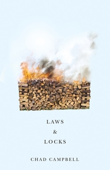 Paperback Laws & Locks Book