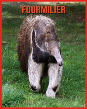 Paperback Fourmilier: D?couvrez les Fourmilier et Admirez des Images Color?es [French] Book
