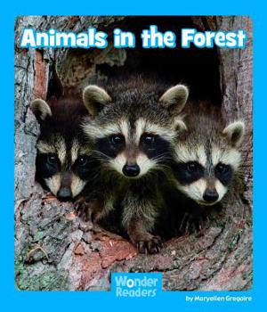 Paperback Animals in the Forest Book