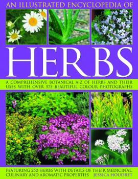 Paperback An Illustrated Encyclopedia of Herbs: A Comprehensive A-Z of Herbs and Their Uses with Over 575 Beautiful Photographs Book
