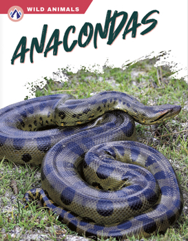 Paperback Anacondas Book