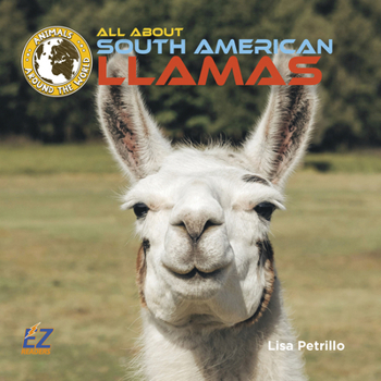 Hardcover All about South American Llamas Book
