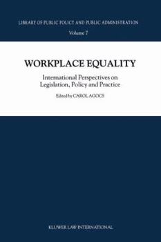 Paperback Workplace Equality: International Perspectives on Legislation, Policy and Practice Book