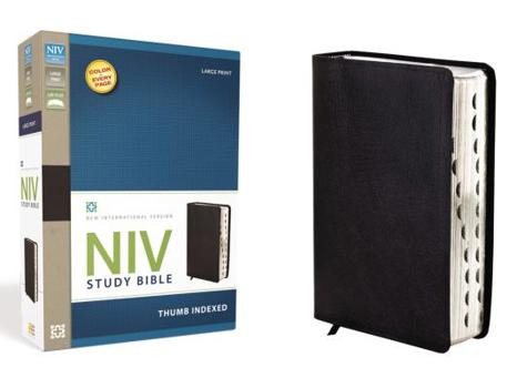 Paperback Study Bible-NIV-Large Print [Large Print] Book