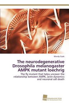 Paperback The neurodegenerative Drosophila melanogaster AMPK mutant loechrig Book