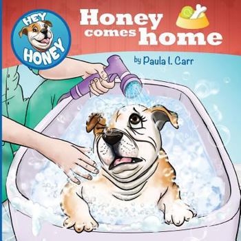 Paperback Hey Honey: Honey Comes home Book