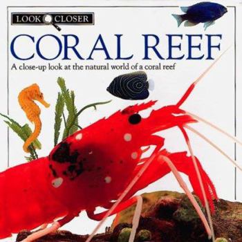 Paperback Look Closer: Coral Reef Book