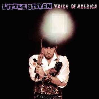 Vinyl Voice Of America (LP) Book