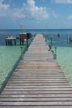 Paperback A Dock on the Beach in Belize Journal: 150 page lined notebook/diary Book