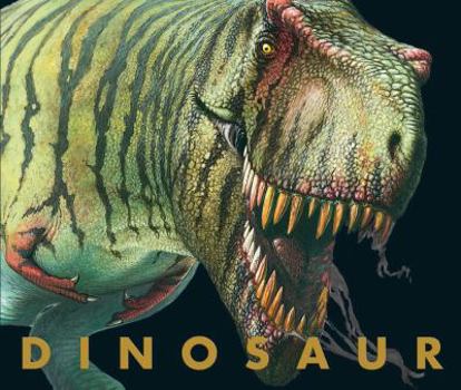 Hardcover Dinosaur Book