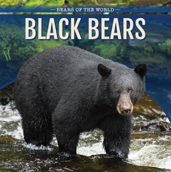 Paperback Black Bears Book