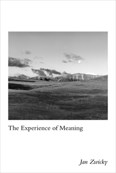 Paperback The Experience of Meaning Book