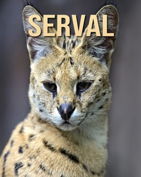 Serval: Children Book of Fun Facts & Amazing Photos