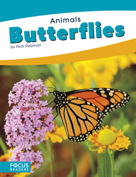 Butterflies - Book  of the Focus Readers' Animals