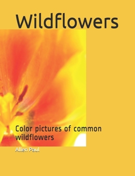 Paperback Wildflowers: Color pictures of common wildflowers Book