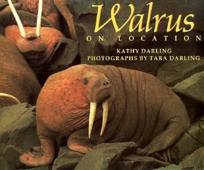 Hardcover Walrus Book