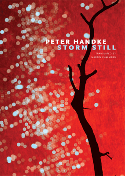 Hardcover Storm Still Book