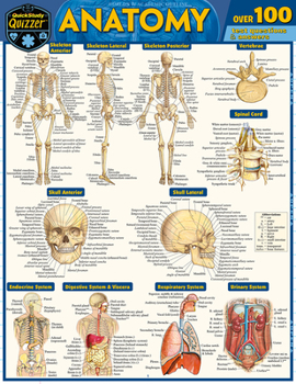 Paperback Anatomy Quizzer: A Quickstudy Laminated Reference Guide Book