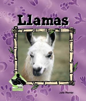 Library Binding Llamas Book