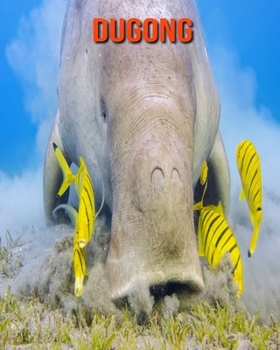 Dugong: Sch�ne Bilder & Kinderbuch mit interessanten Fakten �ber Dugong