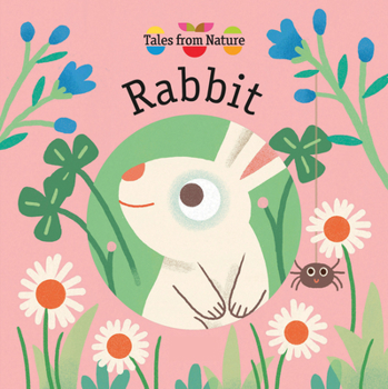 Board book Rabbit Book