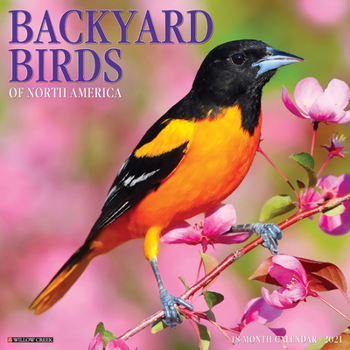 Calendar Backyard Birds 2021 Wall Calendar Book
