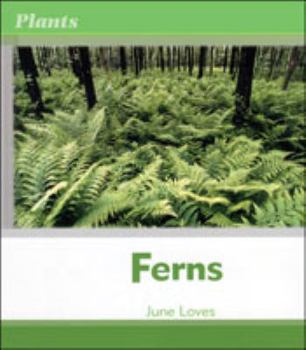 Hardcover Ferns Book