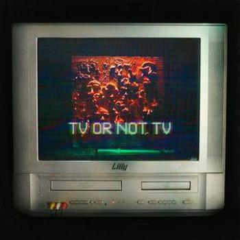 Vinyl Tv Or Not Tv Vinyl Book