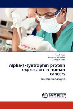 Paperback Alpha-1-syntrophin protein expression in human cancers Book