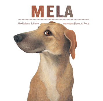 Hardcover Mela Book