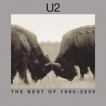 Vinyl The Best Of 1990-2000 (2 LP) Book