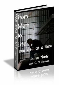 Perfect Paperback From Meth to Life One Cell at a Time Book