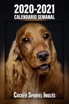 2020-2021 Calendario Semanal Cocker Spaniel Ingl�s: 221 P�ginas Tama�o A5 24 Meses 1 Semana en 2 P�ginas Planificador Agenda Semana Vista Can�filo Perro En Espa�ol