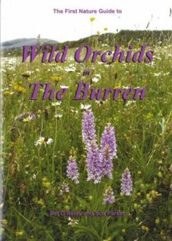 Paperback The First Nature guide to wild orchids in the Burren Book