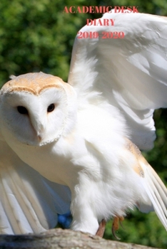 Paperback Academic Diary Week To View A5 Organiser Planner: Starts 1 August 2019 Until 31 July 2020. Wise Owls Diary, Paperback With Soft Water Repelling Matte Book