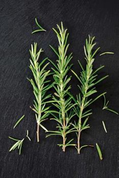 Paperback Fresh Green Rosemary (Rosmarinus officinalis) Herb and Spice Journal: 150 Page Lined Notebook/Diary Book
