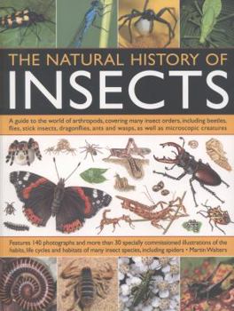 Paperback The Natural History of Insects: A Guide to the World of Arthropods, Covering Many Insect Orders, Including Beetles, Flies, Stick Insects, Dragonflies, Book