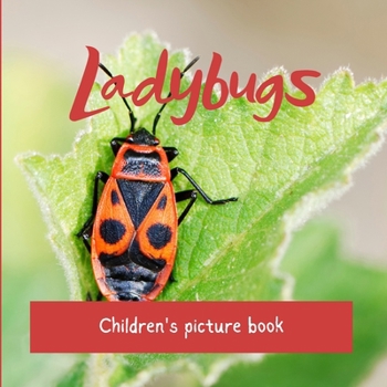 Paperback Ladybugs: Children's picture book