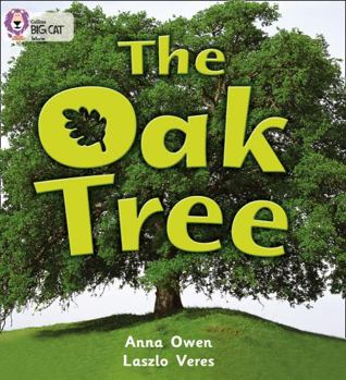 Paperback The Oak Tree: Red B/Band 2b Book