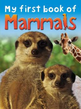 Paperback My First Book of Mammals Book