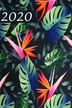 2020: Terminkalender für das Jahr 2020 (German Edition)